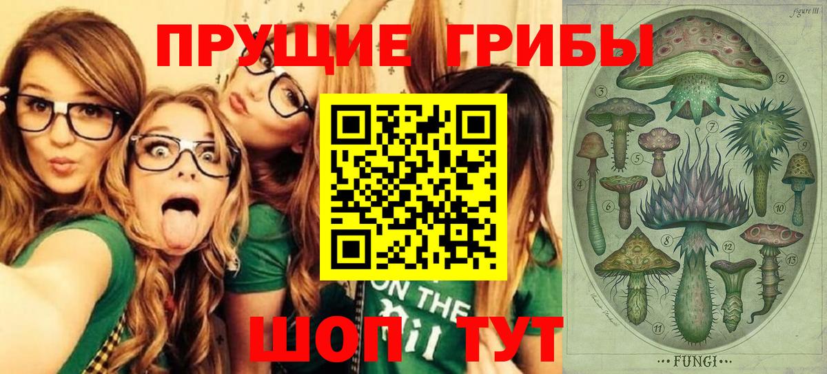 Псилоцибиновые грибы прущие грибы  Вход с VPN  Вичуга 